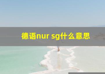 德语nur sg什么意思